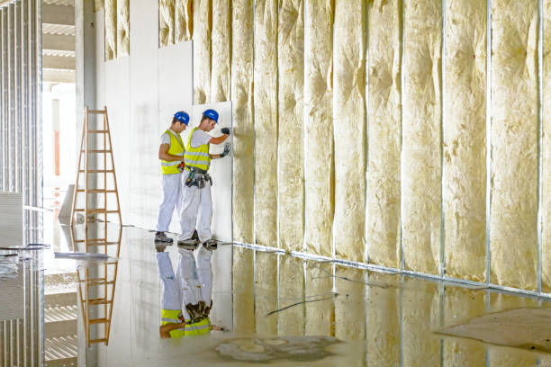 Best Insulation for Specific Applications in Solana, FL